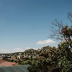 Buda Hill View *