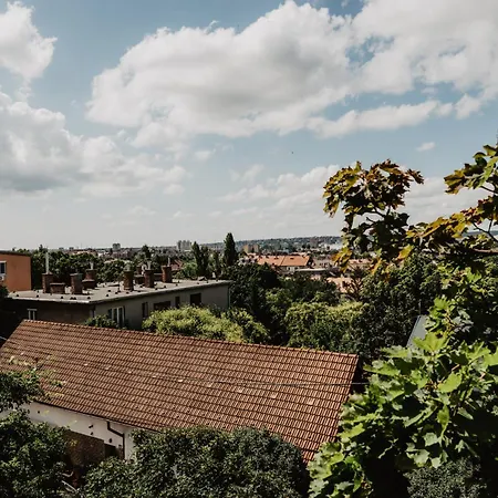 Buda Hill View *