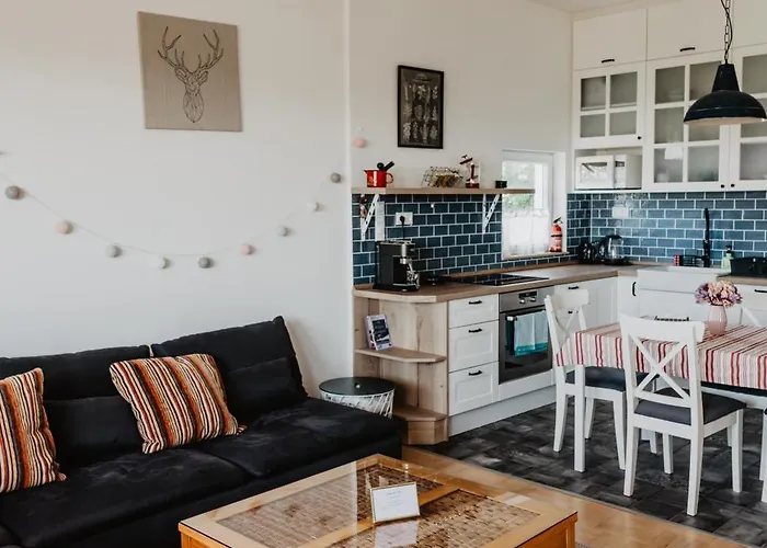 Buda Hill View Apartament