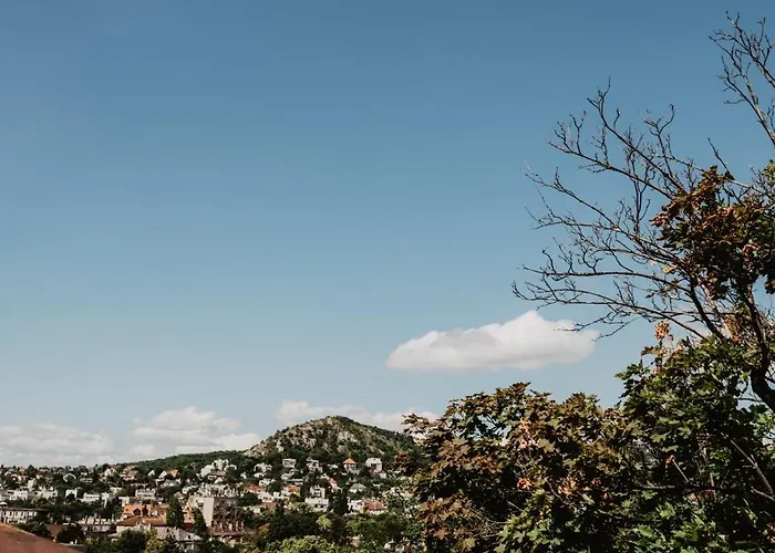 Buda Hill View *