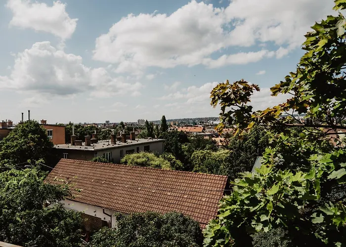 Buda Hill View *